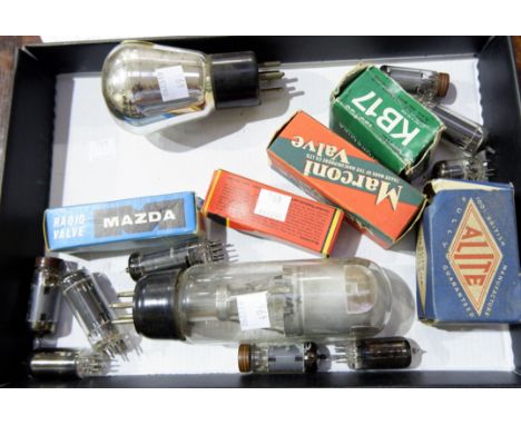 A group of vintage thermionic radio valves, the largest 6 inches 