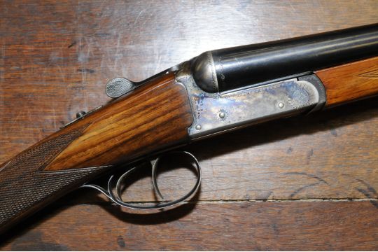 dating aya shotguns