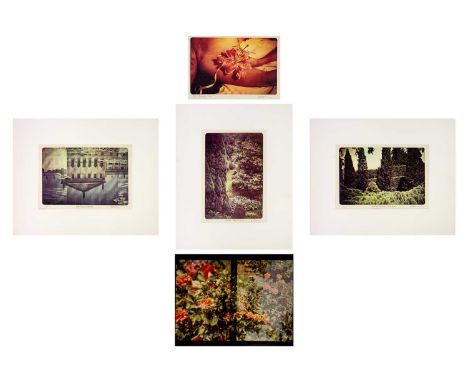 Jennifer Joan DICKSON (1936) The Lily: Six, lithograph & three other works The Lily: Six
Lithograph
Signed, numbered and titl