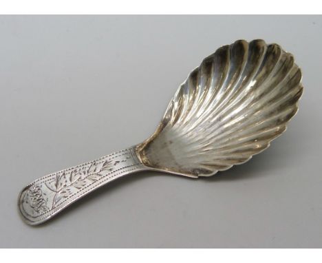 A silver shell bowl caddy spoon, London 1802, marker I.P. 