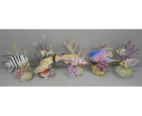 Five Royal Worcester model fish by Ronald van Ruyckevelt, two a/f 