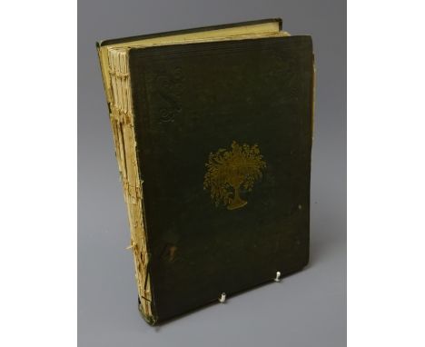 Loudon, Mrs: The Ladies Flower Garden of Ornamental Annuals, plates with tissue guards, pub. 1840, green cloth gilt, 1vol  Co