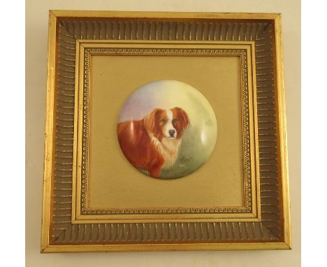 A Royal Worcester circular plaque, painted with a portrait of a dog by E R Booth, diameter 4ins, framedCondition Report:  Goo