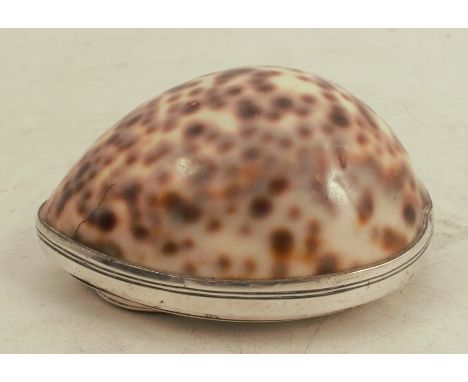 A 19th&nbsp;Scottish provincial silver mounted cowrie shell snuff box, with engraved decoration and name Archibald Wallace to