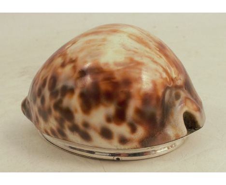 A 19th&nbsp;Scottish provincial silver mounted cowrie shell snuff box, with engraved decoration to the hinged silver mount, m