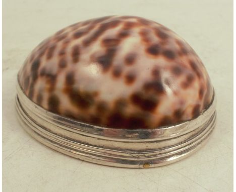 A 19th&nbsp;Scottish silver mounted cowrie shell snuff box, with engraved decoration to the hinged unmarked silver mountCondi