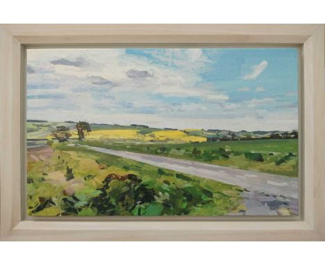 Harry Yeatman-Biggs (b.1963)View Southward from Ballington in MaySigned with initials and dated HY-B 2011 (to reverse)Oil30 x
