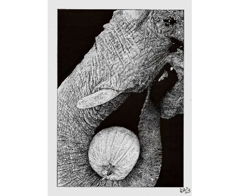 Dustine West (b.1973)Trunk and PumpkinSigned with initials and dated (lower right)Stippling17.5 x 12.5cmHoratio's Garden will