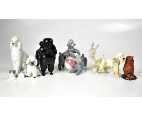 LLADRÓ; a pair of playful poodles playing with beach ball, a black gloss poodle, a USSR white poodle in seated position, thre