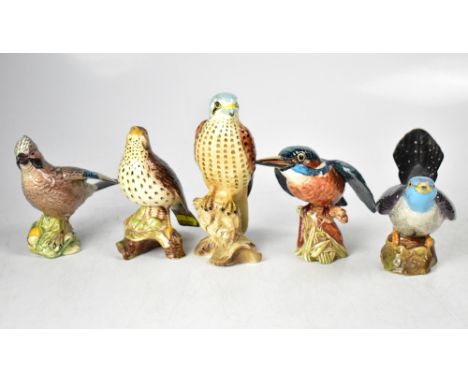 BESWICK; five large bird figures to include 'Jay', 'Kingfisher', 'Kestrel', 'Songthrush' and 'Cuckoo' (5). CONDITION REPORT O