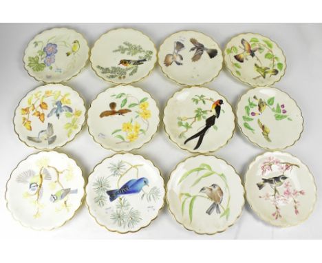 ROYAL WORCESTER; a set of twelve limited edition 'The Birds of Dorothy Doughty' dessert plates, 'Mountain Bluebird and Pine',