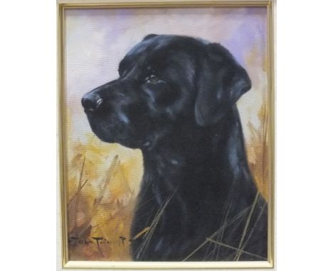 John Trickett, 'Head and shoulders portrait of a black Labrador', signed oil on board, 24 x 19cm.
