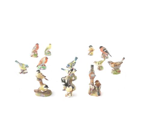 THIRTEEN ROYAL WORCESTER BONE CHINA BIRD MODELS (13)Including; `Blue Tits', `Chaffinches', `Coal Tits', `Pied Woodpeckers', `