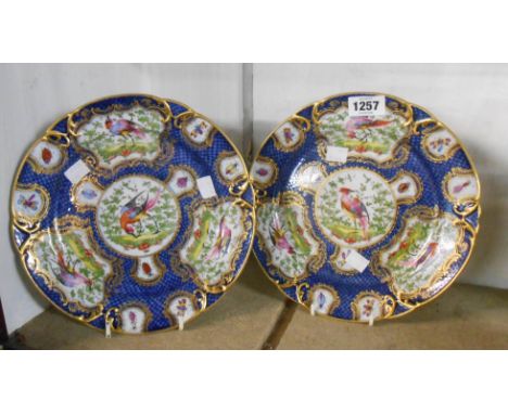 A pair of late 19th Century porcelain plates each decorated with hand painted panels depicting exotic birds and insects on a 