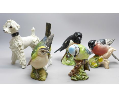 Four Beswick Pottery birds; bullfinch, stonechat, goldcrest and blue tit, a Goebel bird and a studio piece pottery poodle 