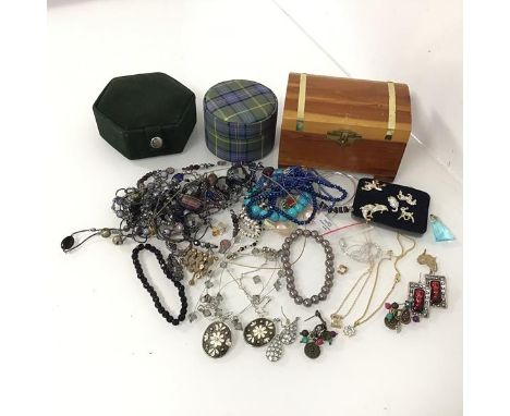 An assortment of costume jewellery including an Indian silver chain, animal badges, pendants on chains, earrings, paste and g