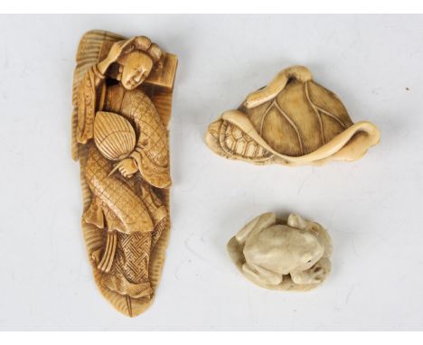 A Japanese carved and stained ivory netsuke, Meiji period, finely modelled in the form of a tortoise emerging from within a f