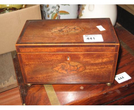 19th Century single section tea caddy of rectangular form on bun feet, inlaid with conch shells. 