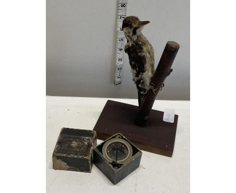 A taxidermy woodpecker and a gramophone sound box a/f, shipping unavailable