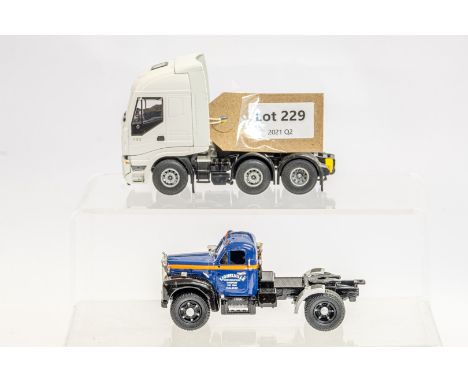 Manufacturer  - N/A | Description - 2 x Loose Assorted Trucks | Stock Code - N/A | Notes - None| Scale - 1:50 | Certificate -