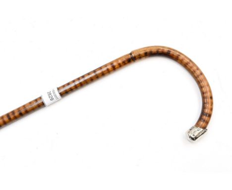 A bamboo walking cane, having silver collar and finial 