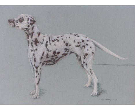 C A Sharpley,coloured pastels, portrait of a Dalmatian, signed and dated 1988, 17" x 23", framed.