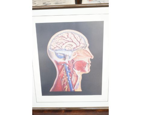 Limited edition print by Christine Schaar 231/235