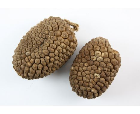 Red Riding Hood (2011) - Two Acorn props from the movie starring Amanda Seyfried, largest 21cm.