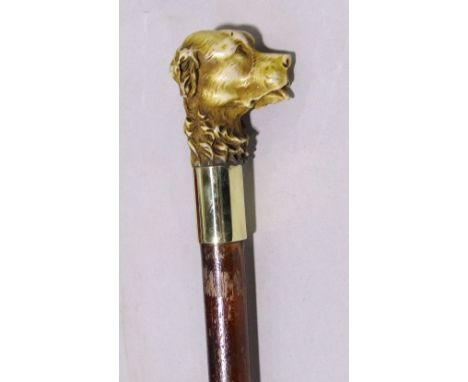 Bamboo type walking stick with carved dog head finial