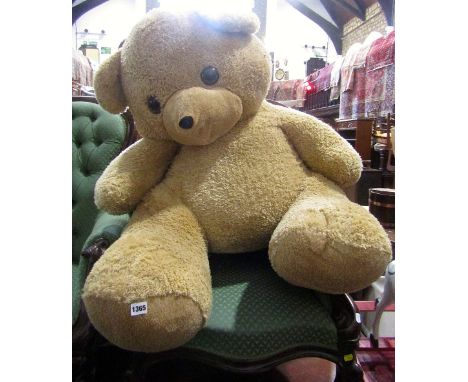 A large outsized teddy bear with light brown fur and moulded eyes 