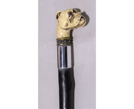 Ebonised walking stick with carved bull dog head finial with glass eyes