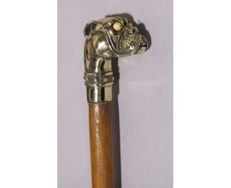 Malacca walking stick with cast brass humorous dog head finial with bone eyes