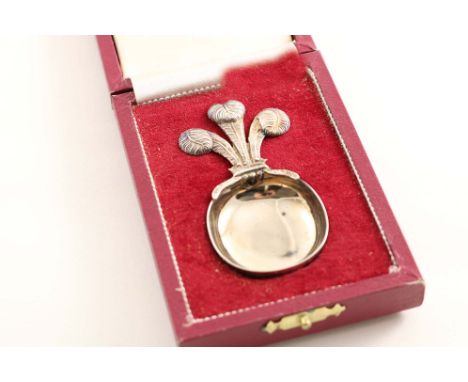 A LATE 20TH CENTURY COMMEMORATIVE CADDY SPOON made to celebrate the marriage of The Prince of Wales to Lady Diana Spencer in 