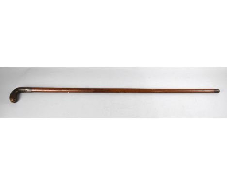 A Vintage Malacca Sunday Morning Golf Stick with Horn Handle and Silver Band 