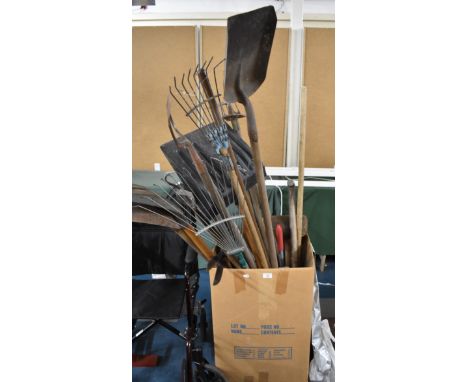 A Large Collection of Various Vintage Wooden Handled Garden Tools 
