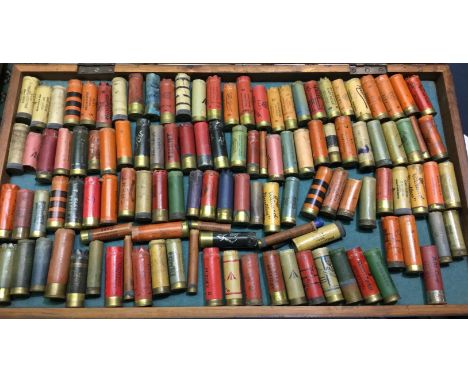 A good collection of over 100 vintage paper and brass shotgun cartridges (all inert) housed in a wooden display case 61cm x 3