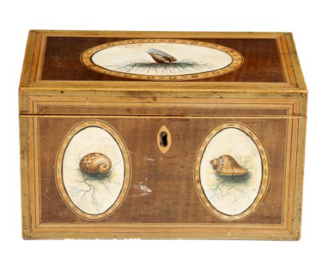 A Regency harewood shell caddy, of rectangular form the lid and front painted with oval panels of shells, with a marbled pape