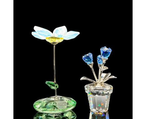 Includes Rocking Flower - Jess Daisy; opalescent petals on a pale green crystal rocking base. Also includes clear crystal pot