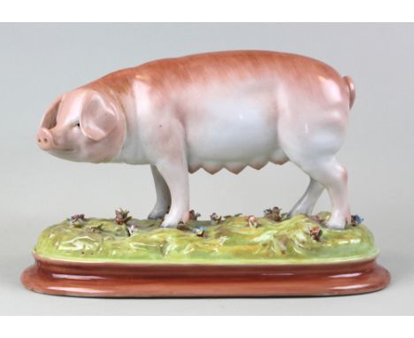 Large continental ceramic pig on a floral and grass base, marked with the cross swords and an R to the base 30cm wide