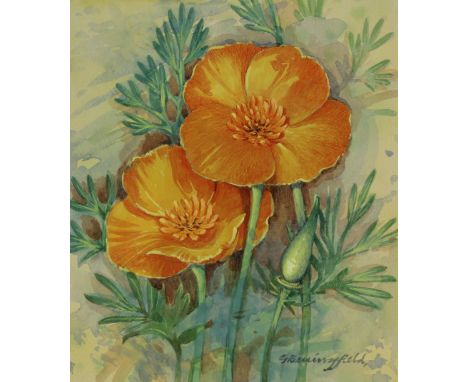 Gordon Beningfield (British, 1936 - 1998) "California Poppy" Signed lower right. Original Watercolor painting on Paper. Prove