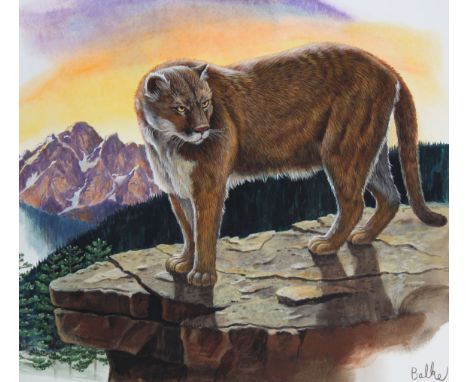 Don Balke (North Carolina, B. 1933) "Cougar on Rock" Signed lower right. Original Watercolor painting on Paper. Provenance: C