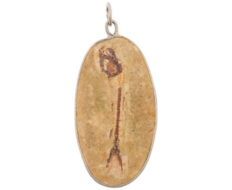 A fish fossil panel pendant, in white metal wire frame, 50.7mm, 5.5g Condition Report: No damage or repair, unmarked