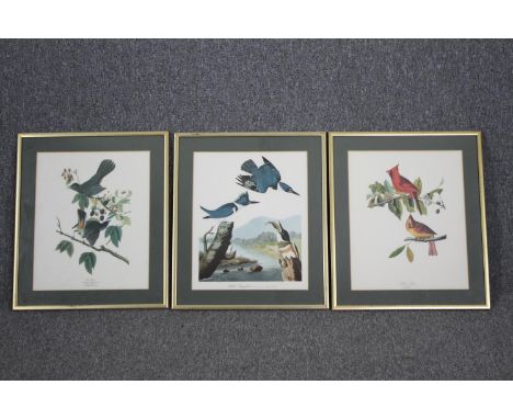 Book plate prints of birds, a set of three framed and glazed. H.54 W.46cm. (Each). 