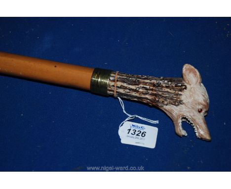 A stout Walking Stick, the knop in the form of a Wolf's head.