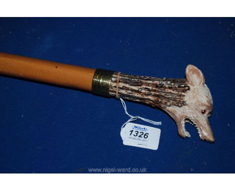 A stout Walking Stick, the knop in the form of a Wolf's head.