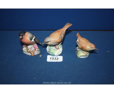 Three Royal Worcester Birds including a Wren, Hedge Sparrow and a Bullfinch