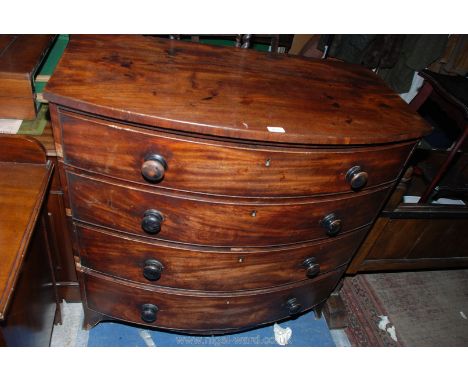 A mid 19th c. Mahogany bow fronted Chest of four long graduated drawers, plain top over the four Oak lined drawers with cock 