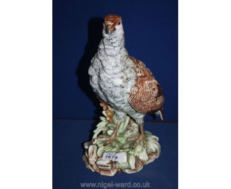 An unmarked model of a Partridge.