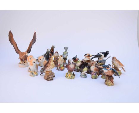 A collection of birds, comprising Beswick: a matt glaze Golden Eagle, model 2062; a Kingfisher, model 2671, Grey Wagtail, mod