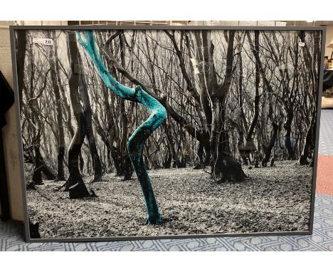 HARPER &amp; DEYOUNG - THE FOREST 122CM X 84CM WITH ORIGINAL PRINT